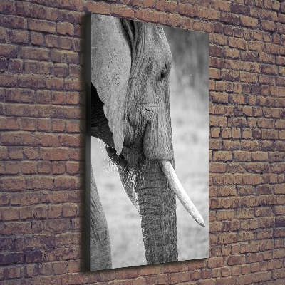 Quadro su tela canvas verticale Elefante
