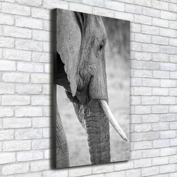 Quadro su tela canvas verticale Elefante