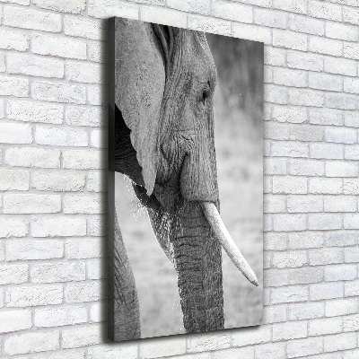 Quadro su tela canvas verticale Elefante
