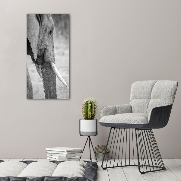 Quadro su tela canvas verticale Elefante