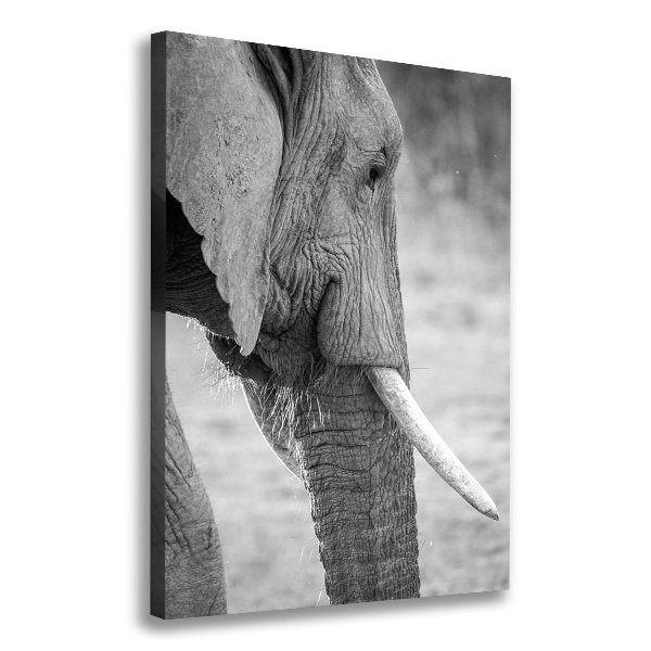 Quadro su tela canvas verticale Elefante
