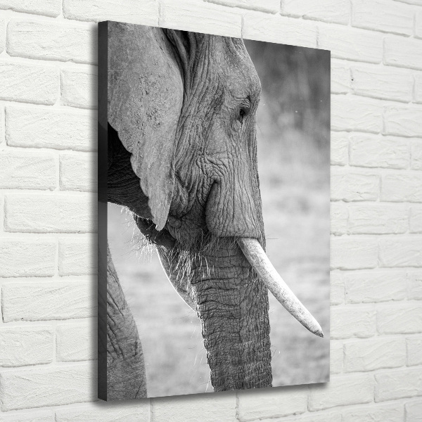 Quadro su tela canvas verticale Elefante