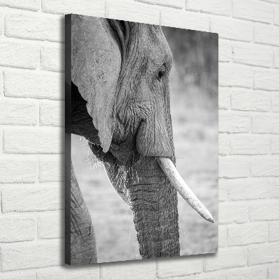 Quadro su tela canvas verticale Elefante