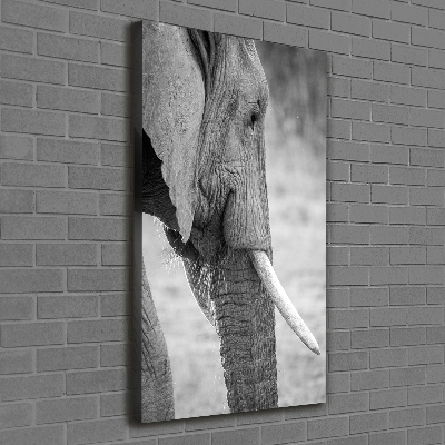 Quadro su tela canvas verticale Elefante