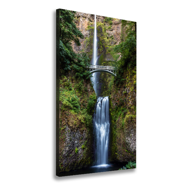 Quadro foto su tela verticale Cascata