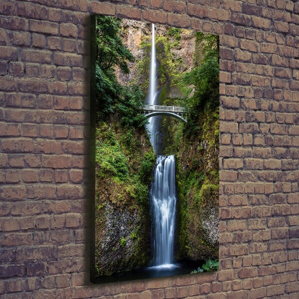 Quadro foto su tela verticale Cascata