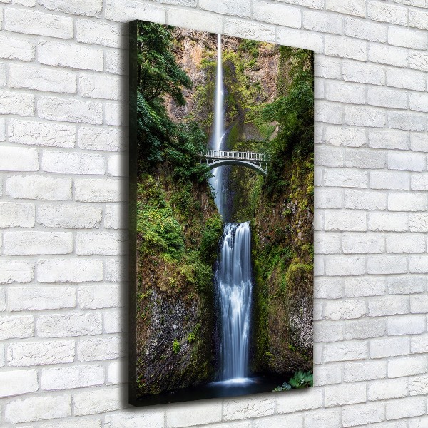 Quadro foto su tela verticale Cascata