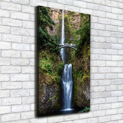 Quadro foto su tela verticale Cascata