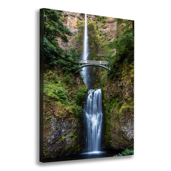Quadro foto su tela verticale Cascata