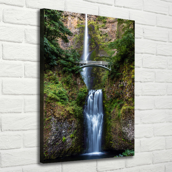 Quadro foto su tela verticale Cascata