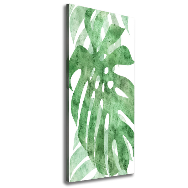 Stampa quadro su tela verticale Monstera