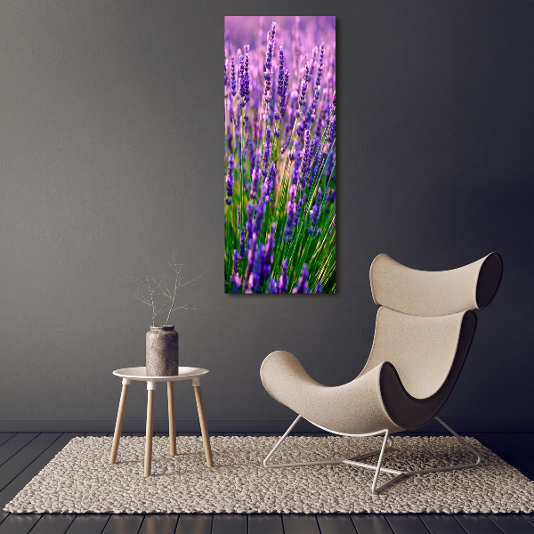 Quadro foto su tela verticale Campo di lavanda