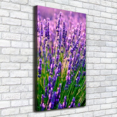 Quadro foto su tela verticale Campo di lavanda