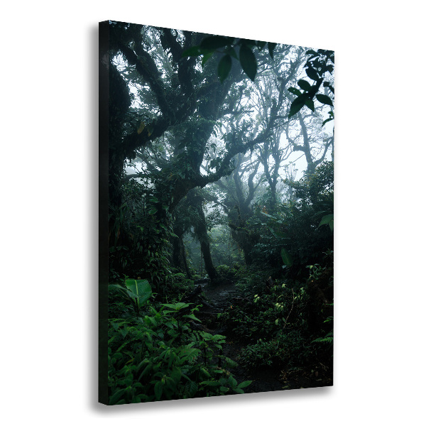 Quadro su tela canvas verticale Foresta pluviale