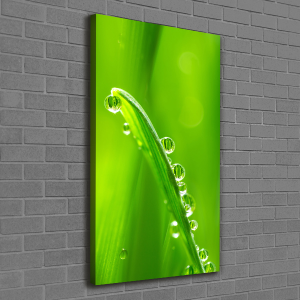 Stampa quadro su tela verticale Fili d'erba