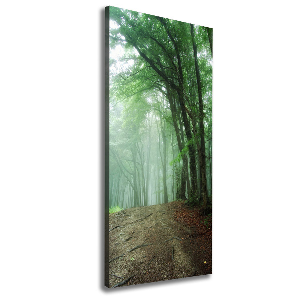 Quadro su tela canvas verticale Nebbia nella foresta