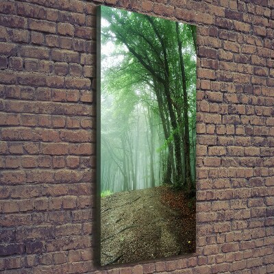 Quadro su tela canvas verticale Nebbia nella foresta