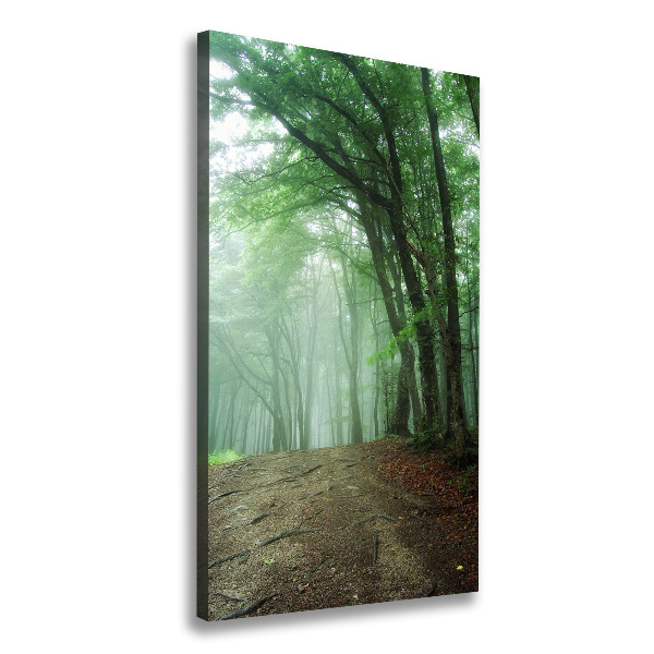 Quadro su tela canvas verticale Nebbia nella foresta