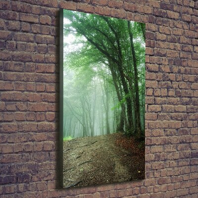 Quadro su tela canvas verticale Nebbia nella foresta