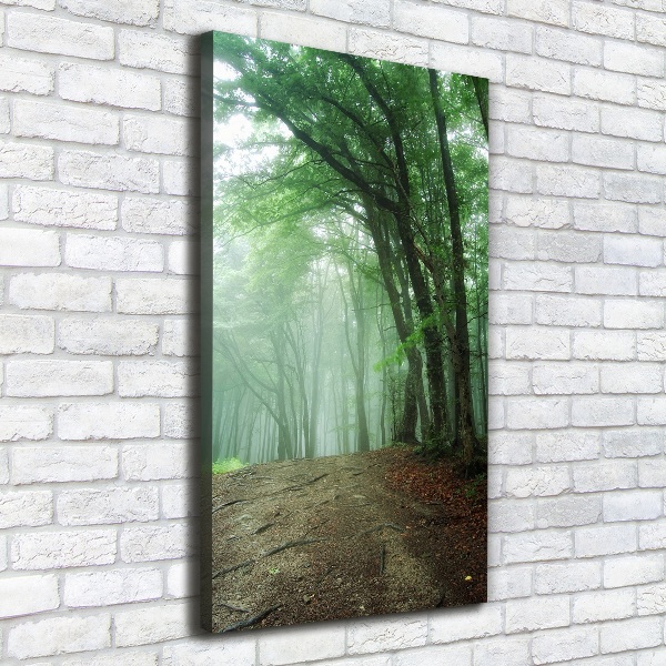Quadro su tela canvas verticale Nebbia nella foresta