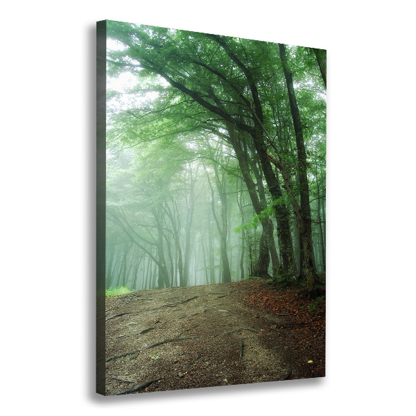 Quadro su tela canvas verticale Nebbia nella foresta