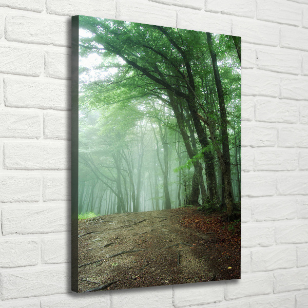 Quadro su tela canvas verticale Nebbia nella foresta