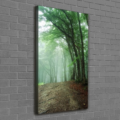Quadro su tela canvas verticale Nebbia nella foresta