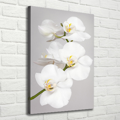 Quadro foto su tela verticale Orchidea bianca