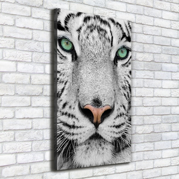 Quadro su tela canvas verticale Tigre bianca