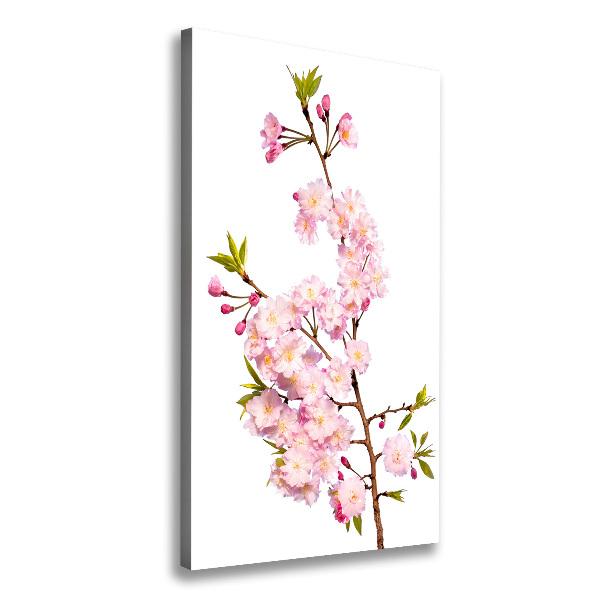 Stampa quadro su tela verticale Fiori di ciliegio