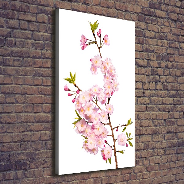 Stampa quadro su tela verticale Fiori di ciliegio