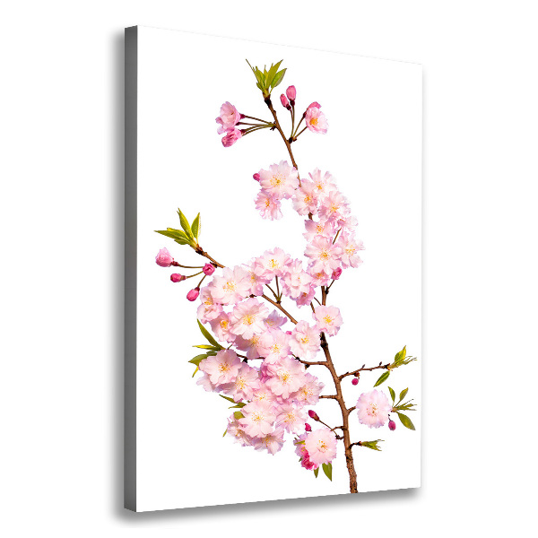 Stampa quadro su tela verticale Fiori di ciliegio