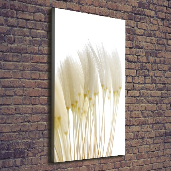 Quadro su tela canvas verticale Semi di tarassaco