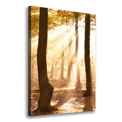 Stampa quadro su tela verticale Foresta in autunno