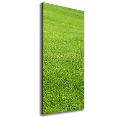 Quadro foto su tela verticale Erba verde