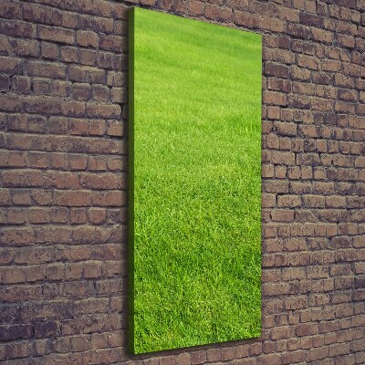 Quadro foto su tela verticale Erba verde