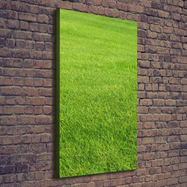Quadro foto su tela verticale Erba verde