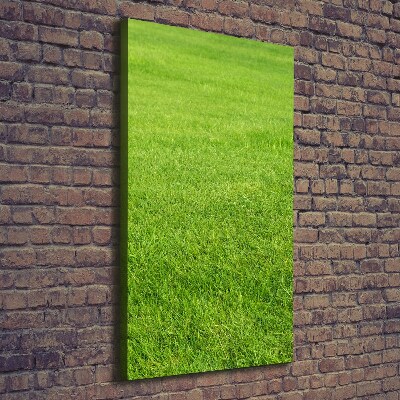 Quadro foto su tela verticale Erba verde