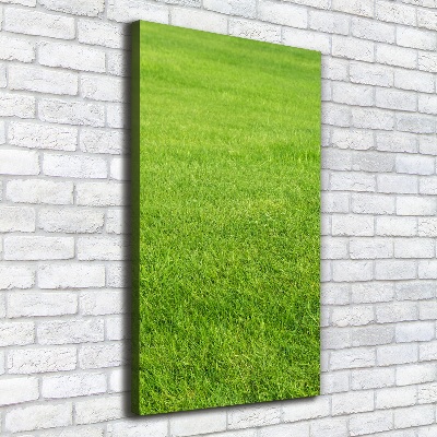 Quadro foto su tela verticale Erba verde