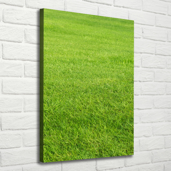 Quadro foto su tela verticale Erba verde