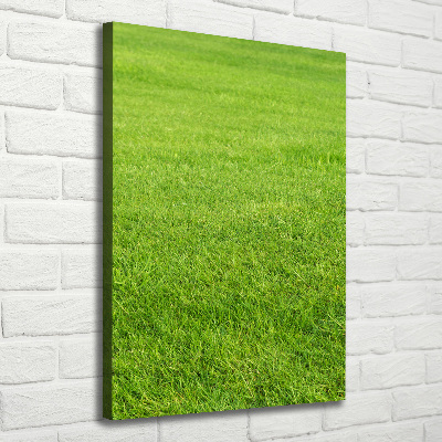 Quadro foto su tela verticale Erba verde