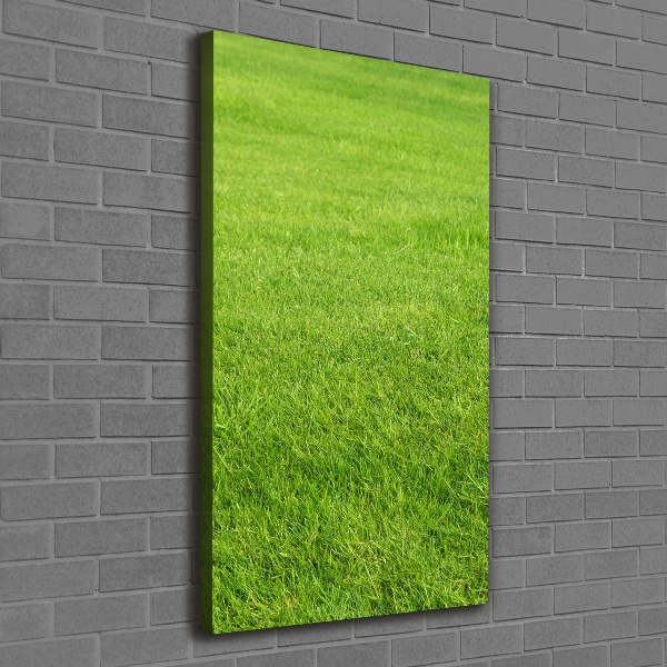 Quadro foto su tela verticale Erba verde