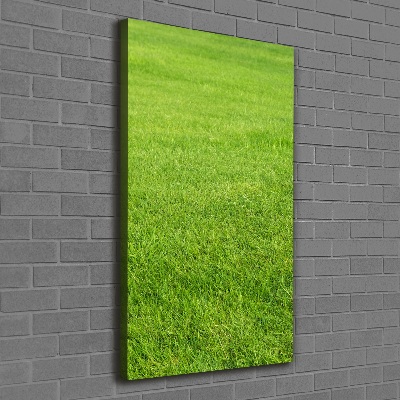 Quadro foto su tela verticale Erba verde