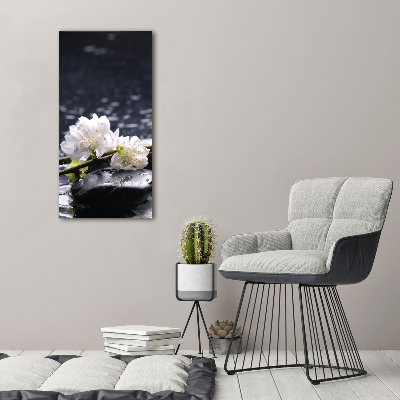 Quadro foto su tela verticale Fiori e pietre