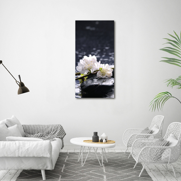 Quadro foto su tela verticale Fiori e pietre