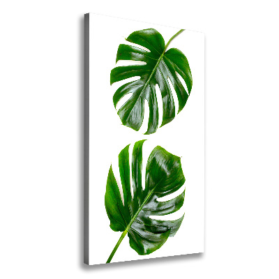 Quadro su tela canvas verticale Monstera