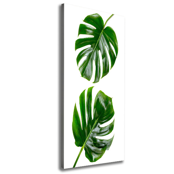 Quadro su tela canvas verticale Monstera
