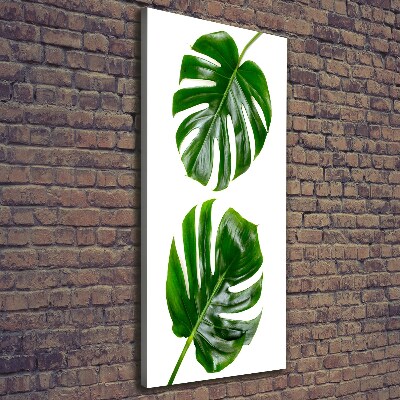 Quadro su tela canvas verticale Monstera