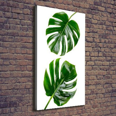 Quadro su tela canvas verticale Monstera