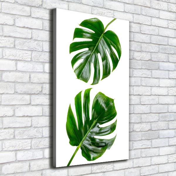 Quadro su tela canvas verticale Monstera
